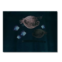 深海の魚たちライブ壁紙 Full版 Androidアプリ Applion