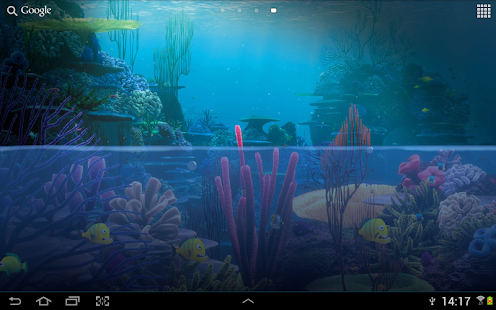 Fish Tank Live Wallpaper