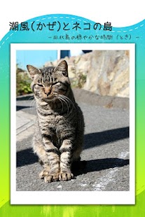 Download 潮風(かぜ)とネコの島 －田代島の穏やかな時間（とき）－ APK for Android