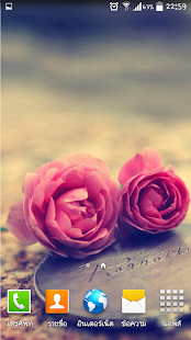 Download Rose Wallpaper APK for PC