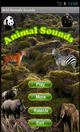 Wild Animals Sounds