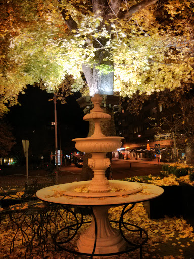Aalto's Fountain
