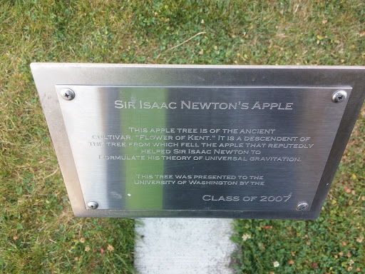 Sir Isaac Newton's Apple Tree Display
