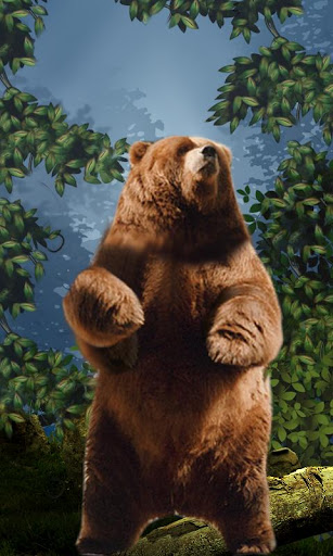 Dancing Bear Live Wallpaper