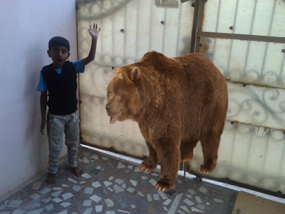 Download Animals Camera APK for Android