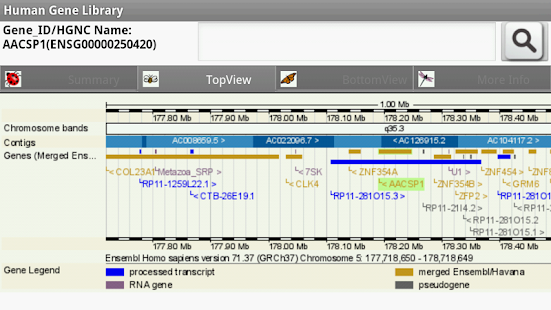 How to install Human Gene Library lastet apk for bluestacks