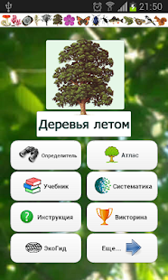 Lastest EcoGuide: Trees in Summer APK