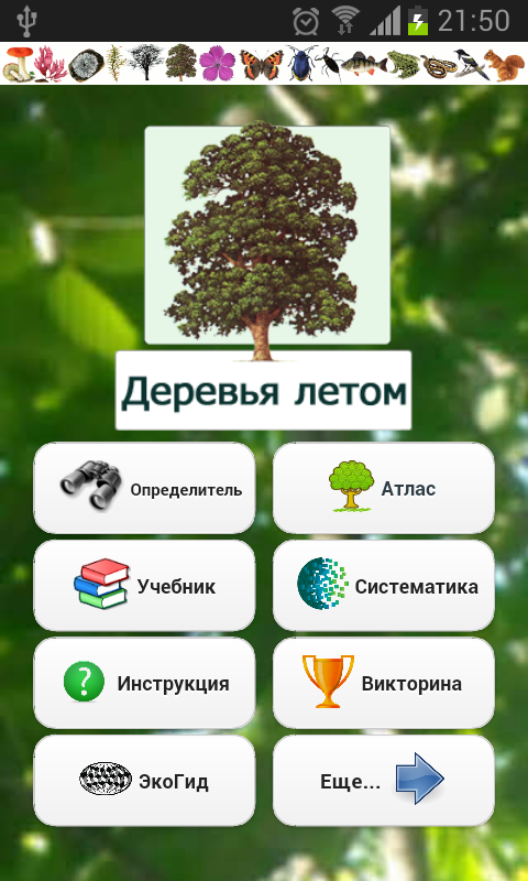 Android application EcoGuide: Trees in Summer screenshort