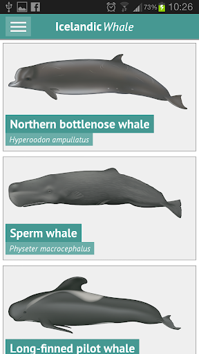 The Icelandic Whale App