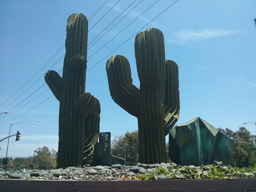 Randolph the Cactus 