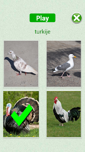 Lastest Flashcards Dutch Lesson APK