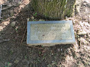 Mr.  & Mrs. Thomas Edward Parker Sr. Honorary Tree