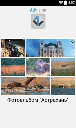 AdVision. Astrakhan region