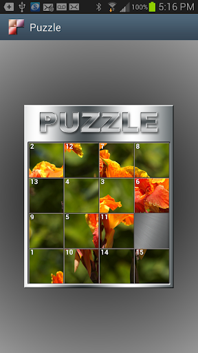 Picture Tiles Puzzle