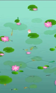 Koi Fish Pond 3D Livewallpaper