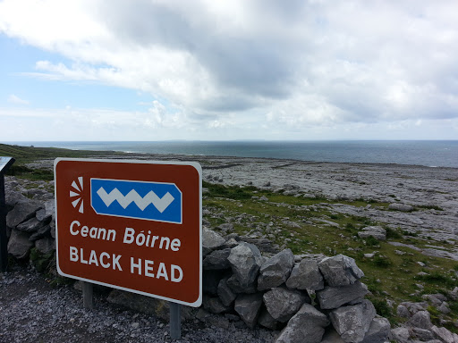 Black Head Burren