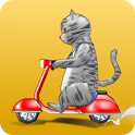 BikiniCat icon