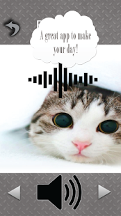 Cat Meow Sounds Screenshots 2