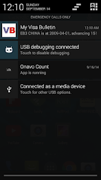 My Visa Bulletin poster 6