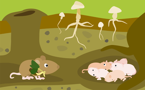  BioMio - My First Biology App  