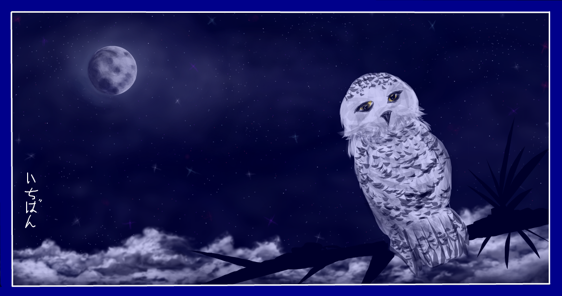 Snow Owl (2)