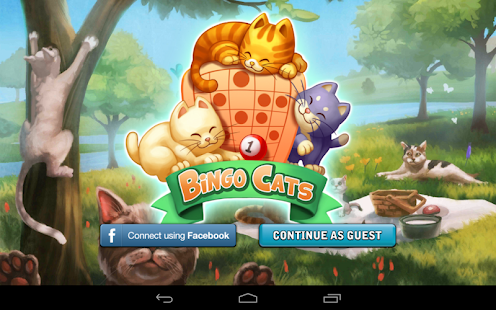 Bingo Cats