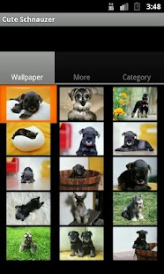 How to mod Cute Schnauzer Wallpaper 1.0.1 unlimited apk for bluestacks