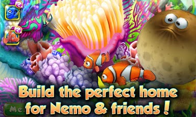 Nemo's Reef