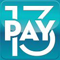 PAYMENTS 2013 logo