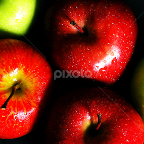 SEGAR by Hendra Hermawan - Food & Drink Fruits & Vegetables