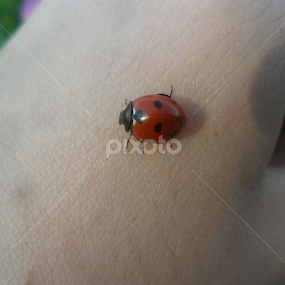 by Jovana Perovanović - Uncategorized All Uncategorized