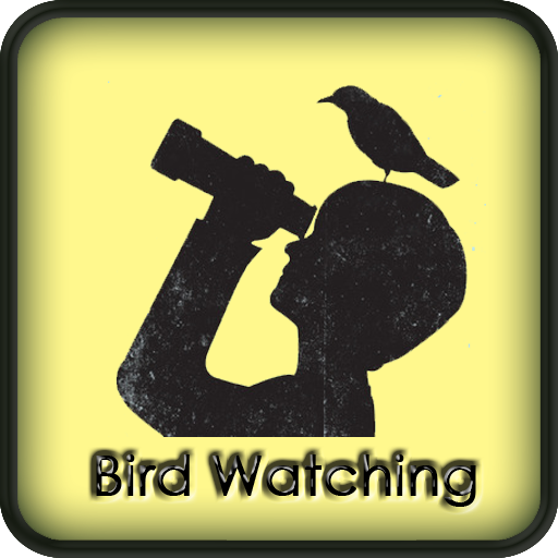 Bird Watching Amazing Guide