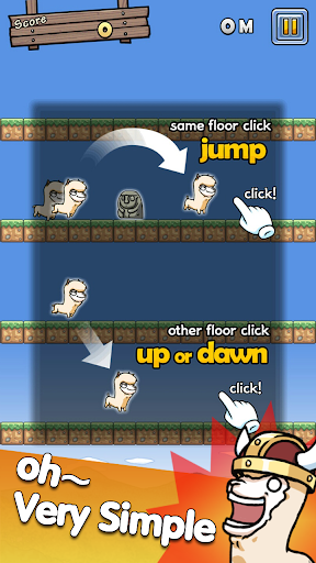 Alpaca Run