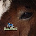 Horse World Lite logo