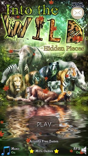 【免費解謎App】Hidden Pieces: Into The Wild-APP點子