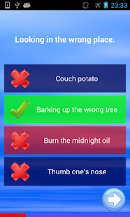 Download English Idioms Quiz APK for PC