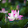 Lời hay ý đẹp Download on Windows