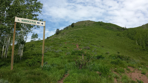 Murdock Peak Trail
