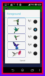 Humming Bird Live Wallpaper poster 4