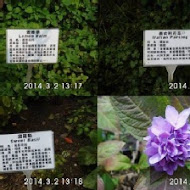 雅植歐洲香草園