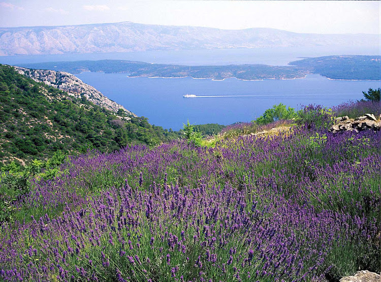 Plan a day hike to explore the Croatian island of Hvar on your next Royal Caribbean cruise.