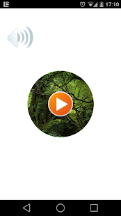 How to install Jungle Sound 1.0 apk for laptop
