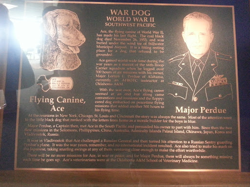 Ace the Flying Canine, WWII