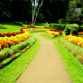 Necklace Rd. by Uthpala Kuruppuarachchi - City,  Street & Park City Parks