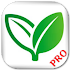 Home Remedies (Pro)1.5