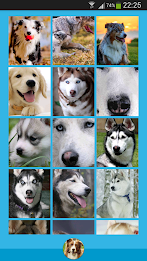 Animal Wallpapers poster 3