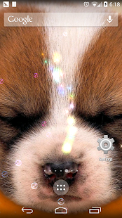 How to download dream dog lwp free lastet apk for pc