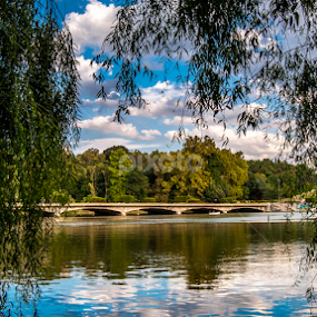 Carol Park by Petrea Ionut - City,  Street & Park City Parks