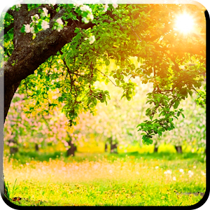 Spring Live Wallpaper.apk 1.0.0