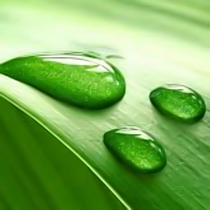 Drops LiveWallpaper lite.apk 1.02